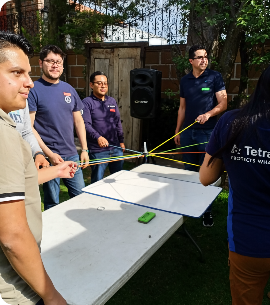 team bullBG-25